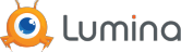 Website Design Company in NYC | Lumina