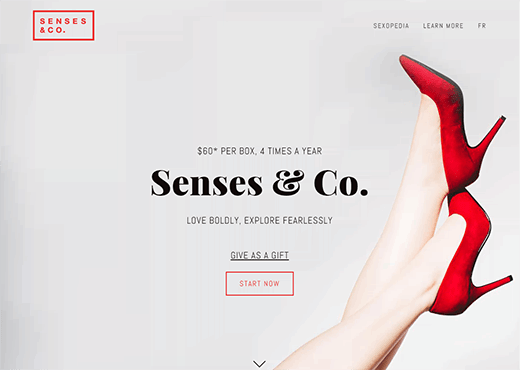 Senses & Co Website Development by Lumina